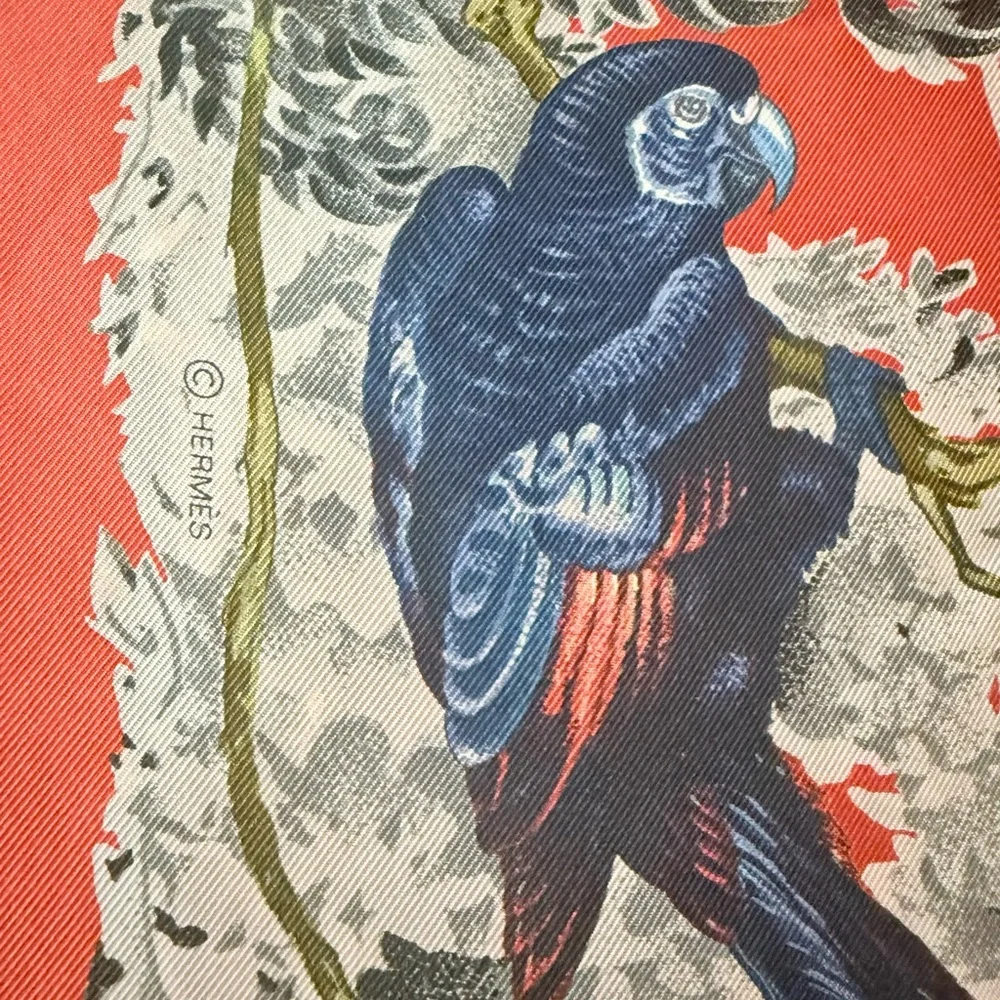 Authentic Hermes Carre Wash Equateur Silk Scarf 35” - Picture 5 of 9